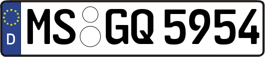 MS-GQ5954