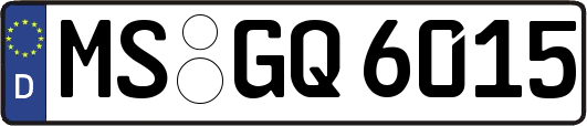 MS-GQ6015