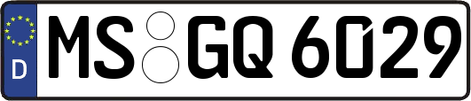 MS-GQ6029