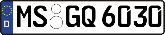 MS-GQ6030