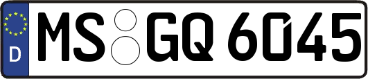 MS-GQ6045