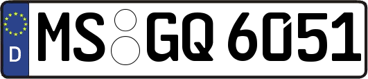 MS-GQ6051