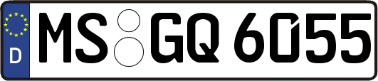 MS-GQ6055