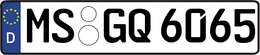 MS-GQ6065