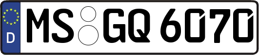 MS-GQ6070