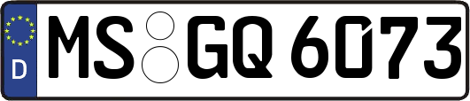 MS-GQ6073