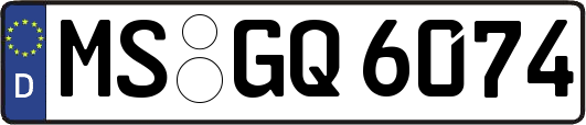MS-GQ6074