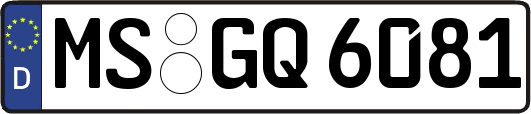 MS-GQ6081