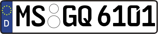 MS-GQ6101