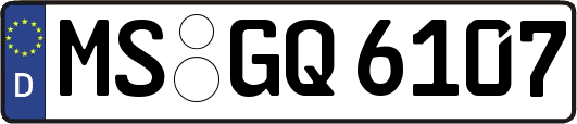 MS-GQ6107