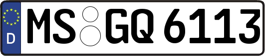 MS-GQ6113