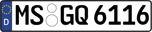 MS-GQ6116