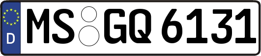 MS-GQ6131