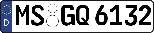 MS-GQ6132