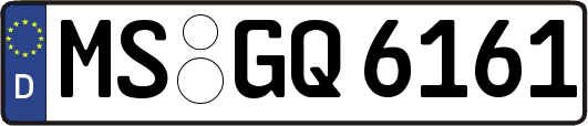 MS-GQ6161