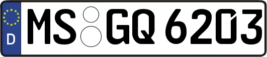 MS-GQ6203