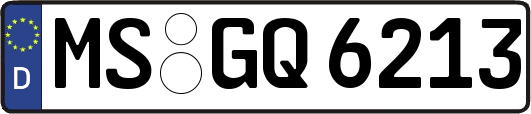 MS-GQ6213