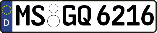 MS-GQ6216