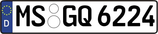 MS-GQ6224
