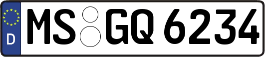 MS-GQ6234
