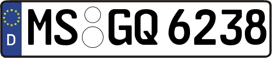 MS-GQ6238