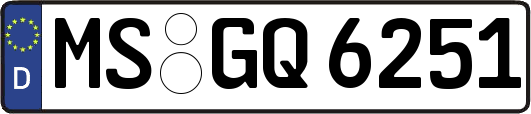 MS-GQ6251