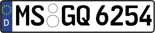 MS-GQ6254