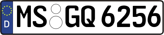 MS-GQ6256