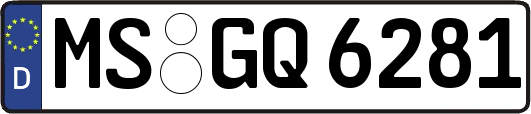 MS-GQ6281