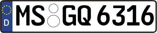 MS-GQ6316
