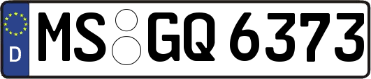 MS-GQ6373
