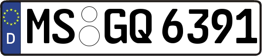 MS-GQ6391
