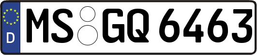 MS-GQ6463