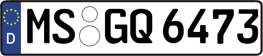 MS-GQ6473