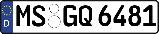 MS-GQ6481