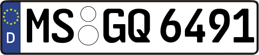 MS-GQ6491