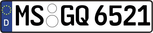 MS-GQ6521