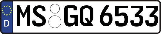 MS-GQ6533