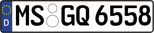 MS-GQ6558