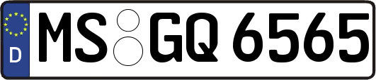 MS-GQ6565