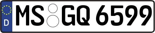 MS-GQ6599