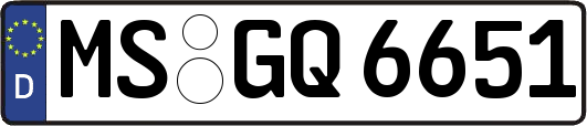 MS-GQ6651