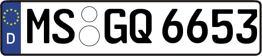 MS-GQ6653