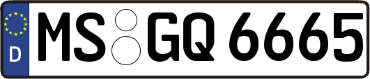 MS-GQ6665