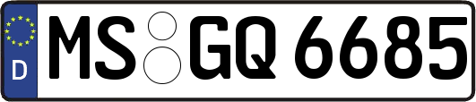 MS-GQ6685
