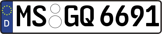 MS-GQ6691