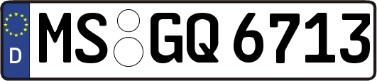 MS-GQ6713