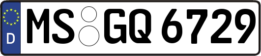 MS-GQ6729