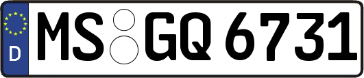 MS-GQ6731