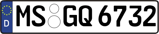 MS-GQ6732